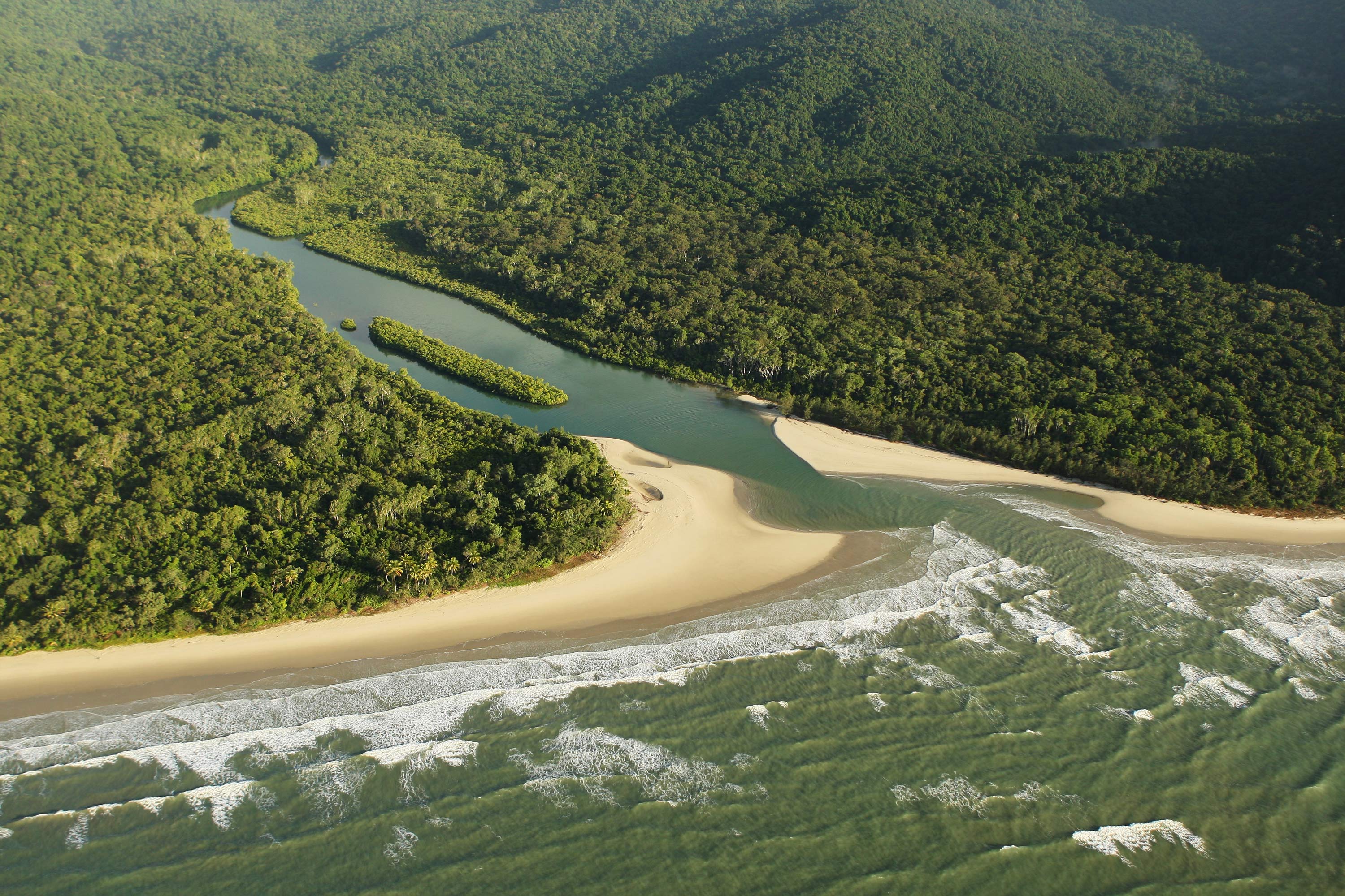 Daintree Rainforest Австралия