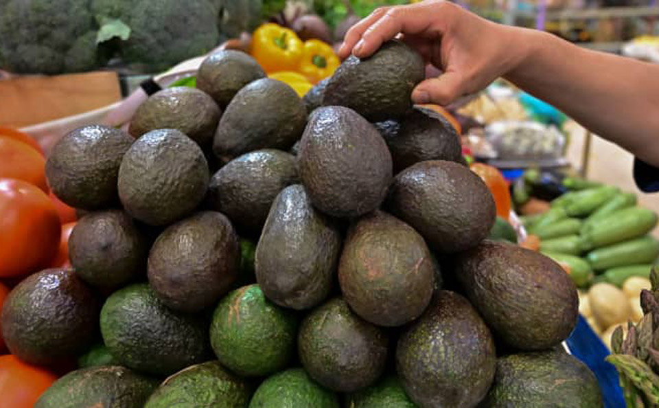 US resumes avocado imports from Mexico | Business