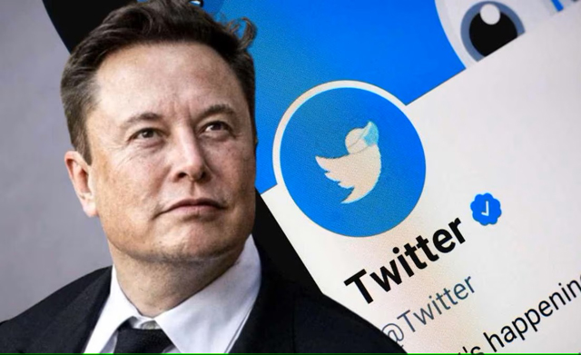 Twitter working on AI despite Musk call for global pause: report, News