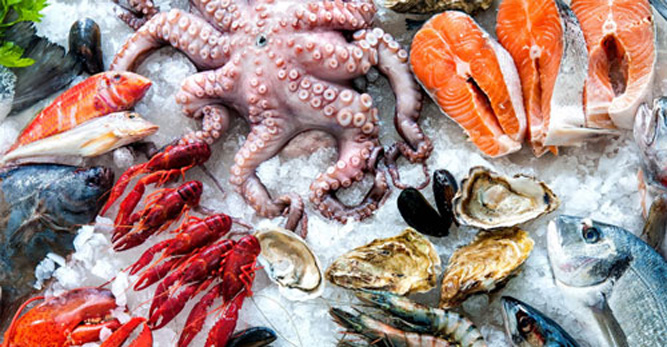 Pakistan's seafood exports surge over 17 pct in first 11 months of FY ...