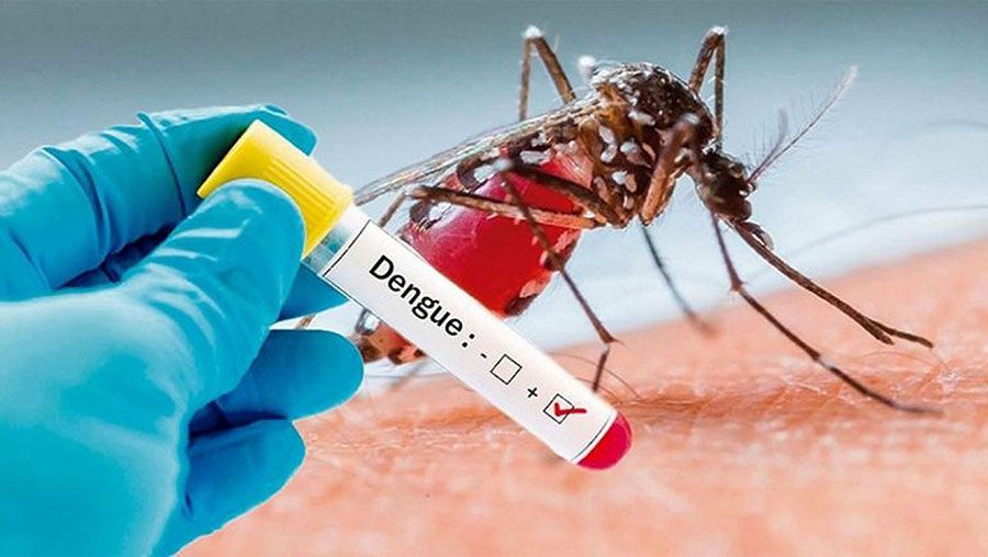 10 dengue patients die, 2,660 hospitalised in 24 hrs