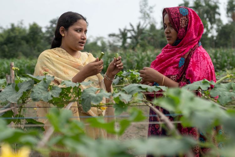 Potato grower becomes voice for Bangladeshi marginal farmers