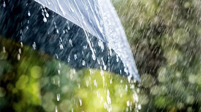 Met office predicts rain in all 8 divisions