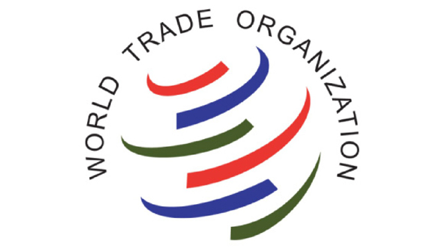 Bridge digital divide to leverage global trade opportunities: WTO