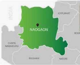 Weeklong tree fair begins in Naogaon