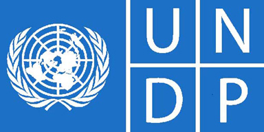 UNDP launches scholarship programme for upskill medical students