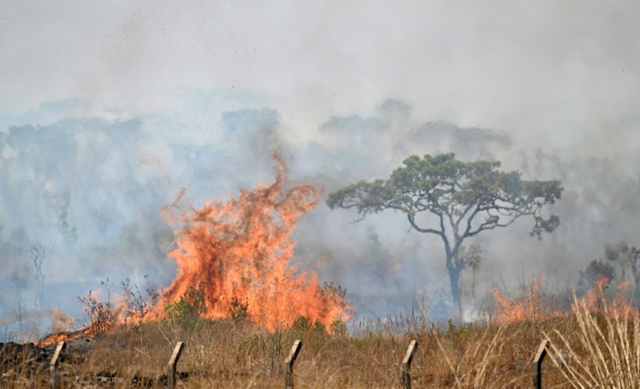 What we know about the fire 'pandemic' plaguing Brazil