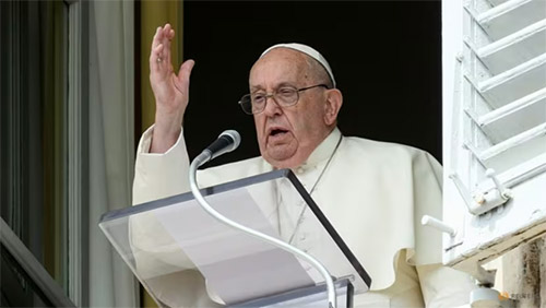 Pope cancels audiences due to 'light flu'