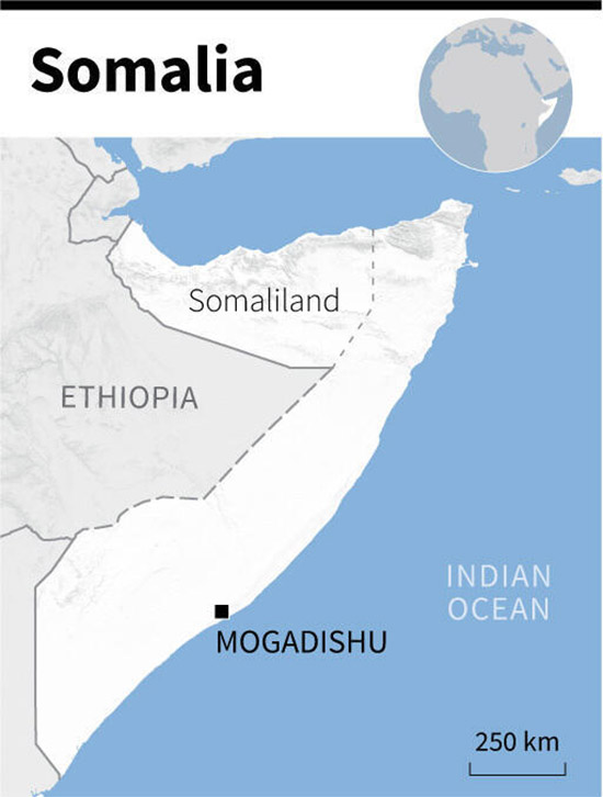 Ethiopian actions 'flagrantly violate' Somali territorial integrity: Somali PM