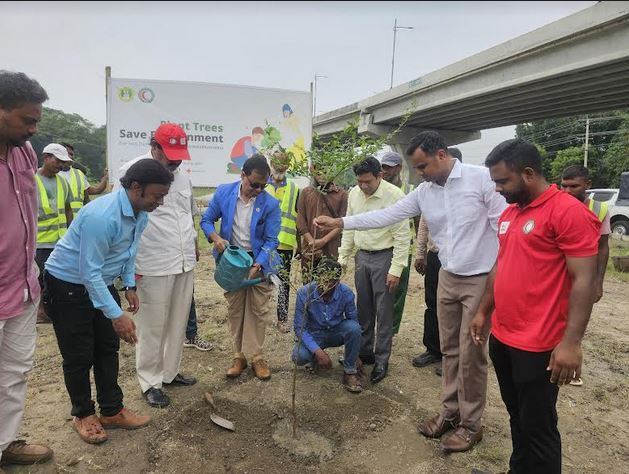 Extensive tree plantation stressed to reduce carbon emission