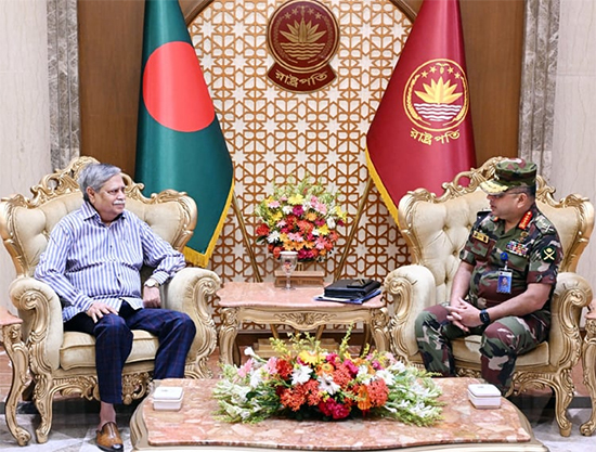 Army chief pays courtesy call on president