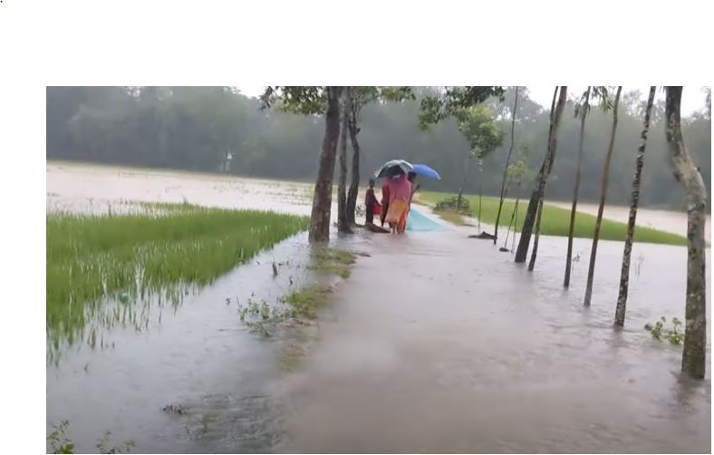 Low-lying areas of Sherpur flooded, three people drown