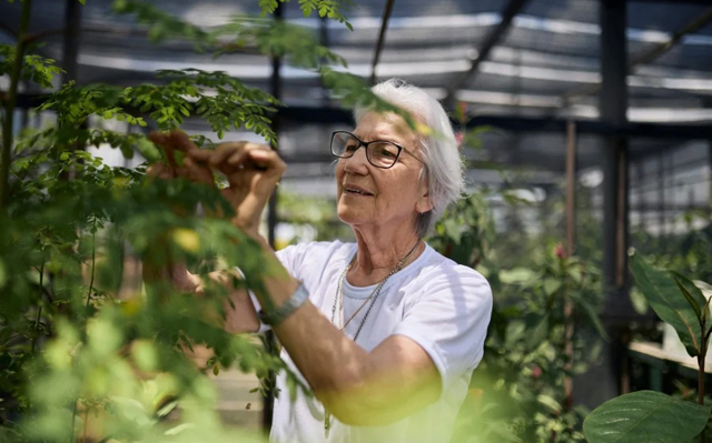 Brazilian nun wins UN refugee prize