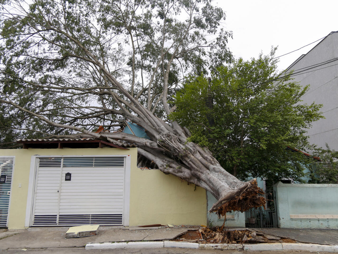 Eight dead as heavy rain thrashes Brazil after long drought