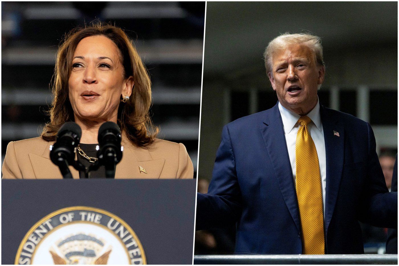 Harris, Trump seek advantage in knife-edge election battle