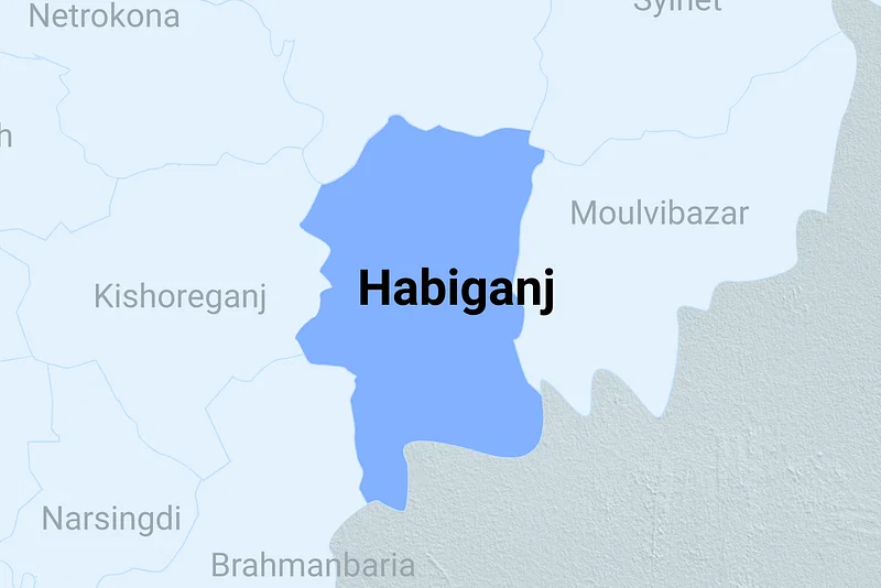 Motorcycle plunges into ditch, one dies in Habiganj