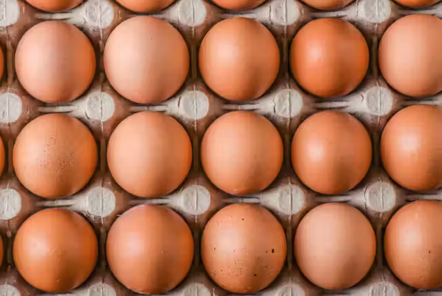 Egg price drops by Tk 25-30 per dozen following govt steps