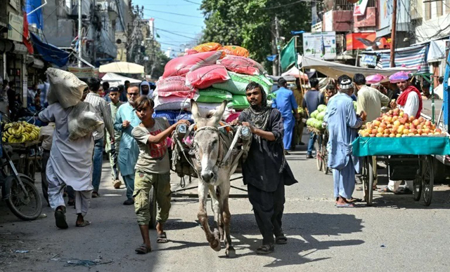 Modern pressures burden Pakistan's donkey business