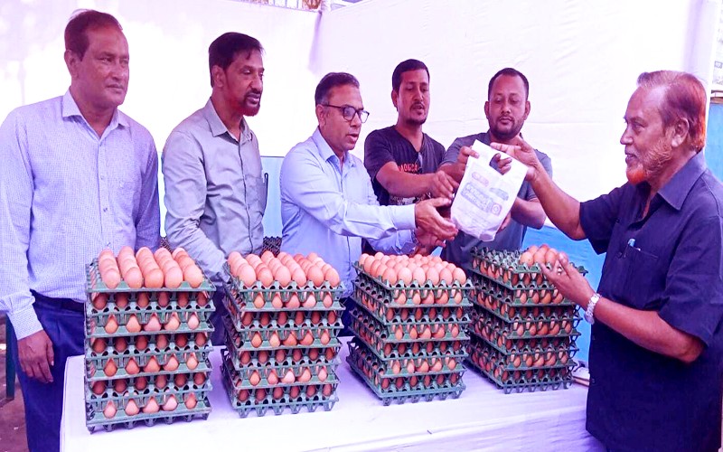 Sale of eggs at fixed prices begins in Rangpur