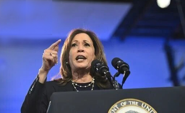 Harris urges US to turn page on Trump 'chaos' in mass White House rally