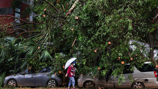 Taiwan cleans up after Typhoon Kong-rey leaves two dead