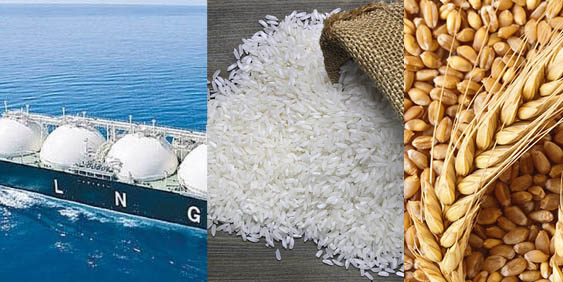 Govt to procure 2 cargos LNG, 50,000 MTs non-Basmati rice, 50,000 MTs wheat