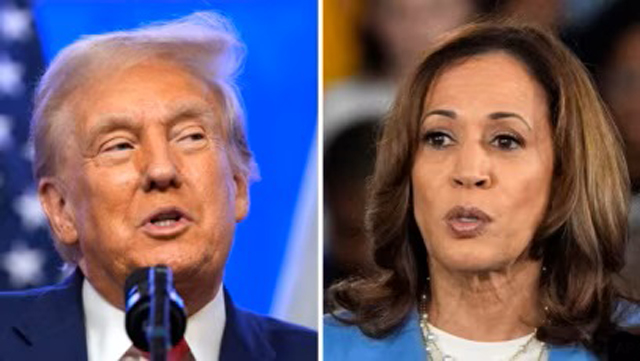 President-elect Trump at 294 electoral votes, Harris at 223