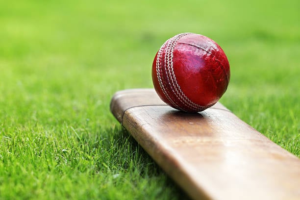 Zia Cricket Tournament aims to unearth cricketers from grassroots level