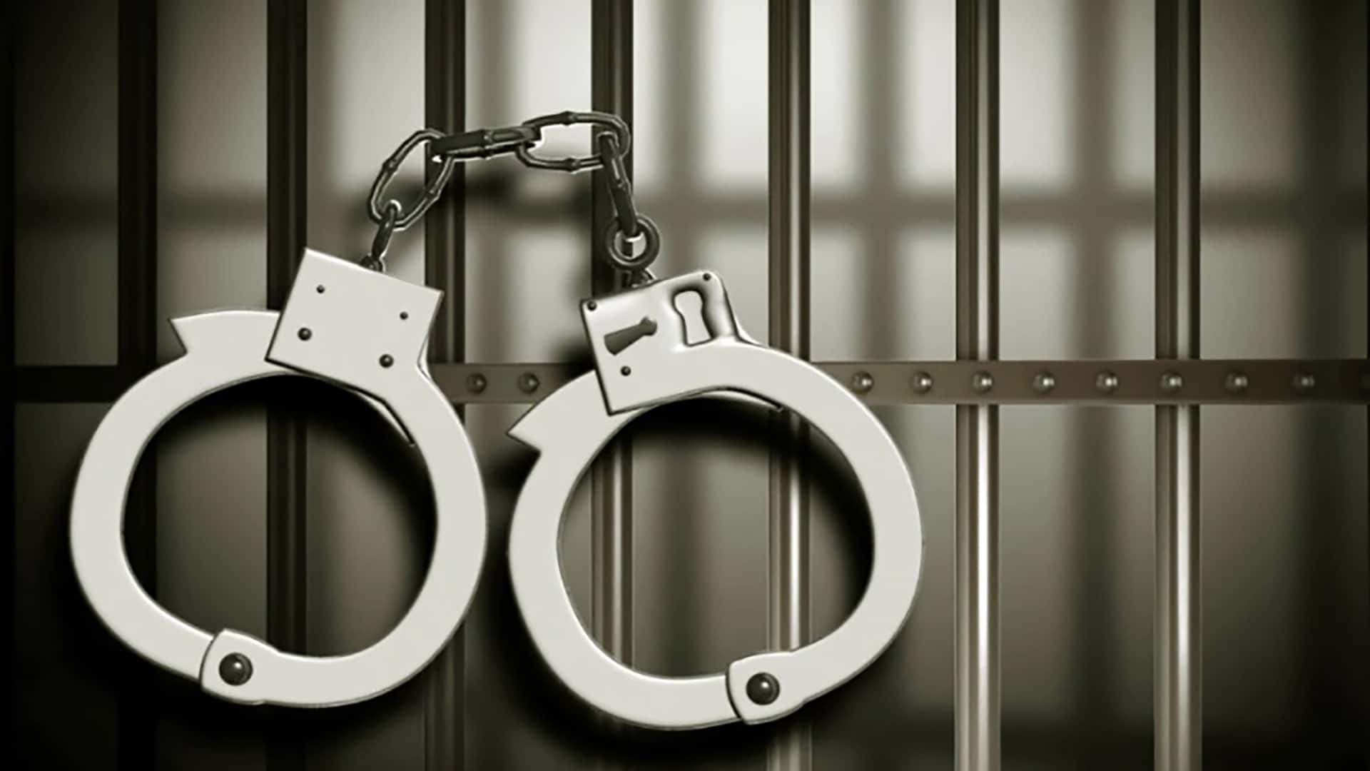 Joint forces arrest 15 miscreants at Hazaribag in city 