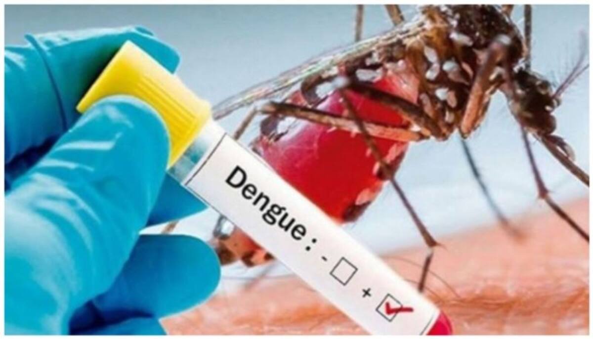 8 dengue patients die, 1,389 hospitalised in last 24 hrs