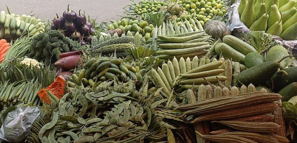 18 types of winter vegetables cultivated in Kishoreganj:  officials