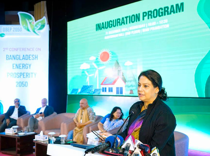 Govt working to make efficient energy plan: Rezwana