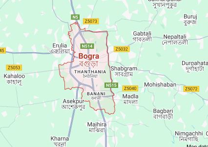 Firearm, bullets recovered in Bogura