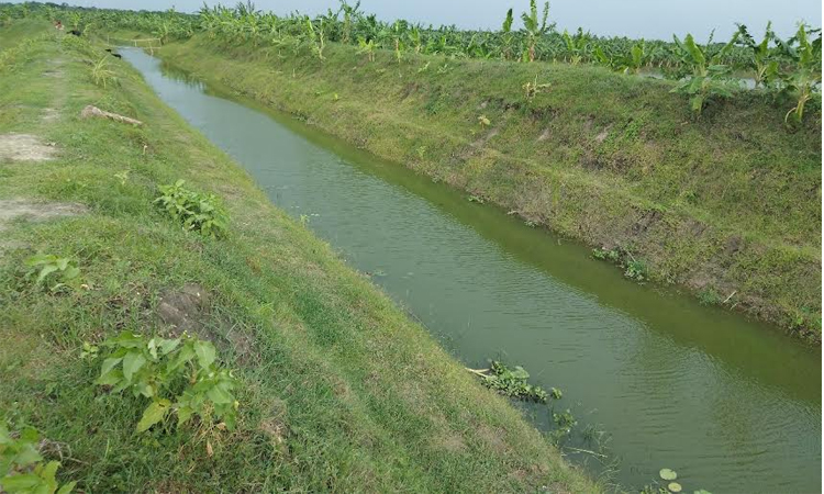 Irrigation helps produce 12.45 lakh tonnes additional crops in Rajshahi