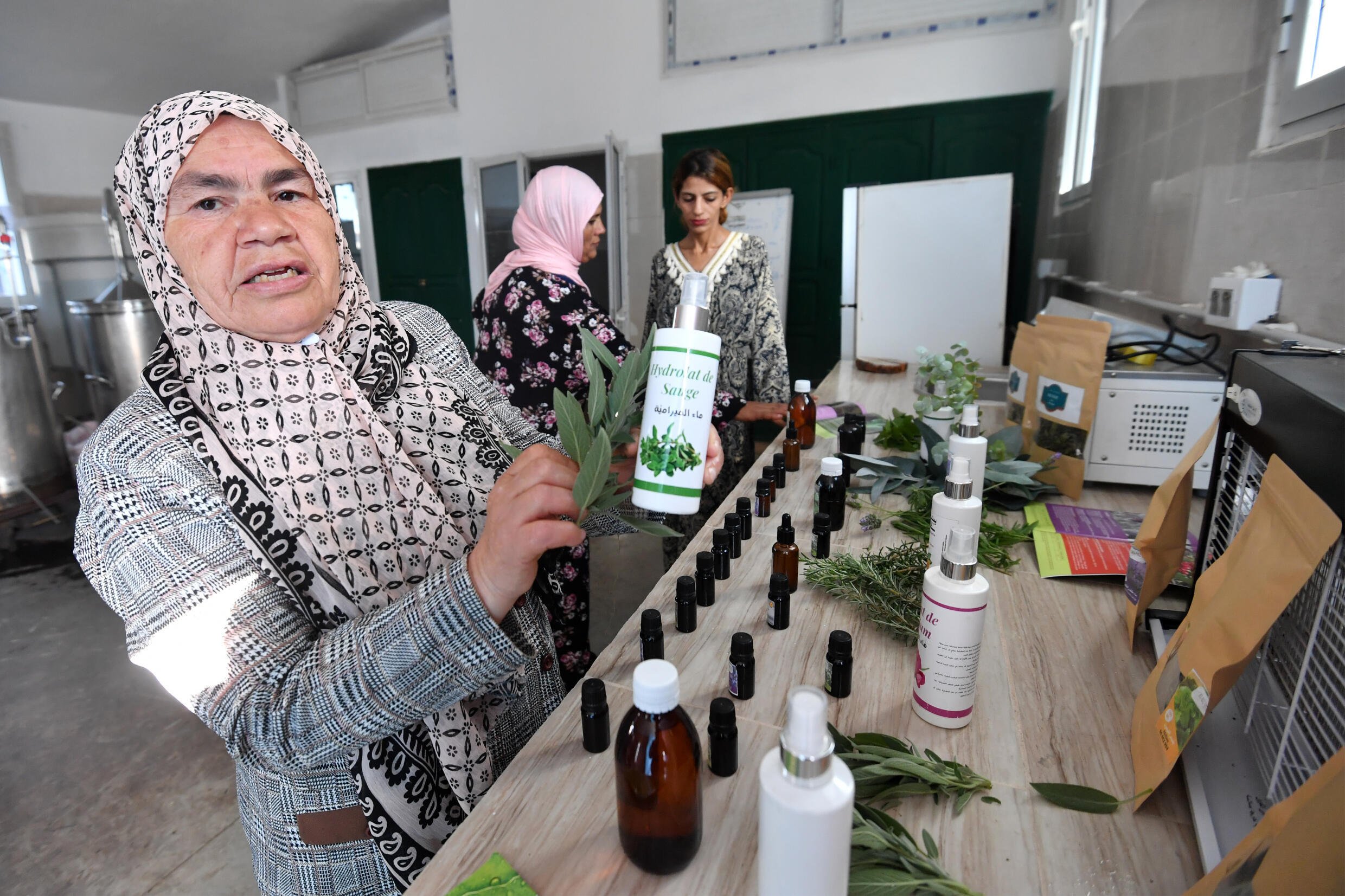 Tunisia women herb harvesters struggle with drought and heat