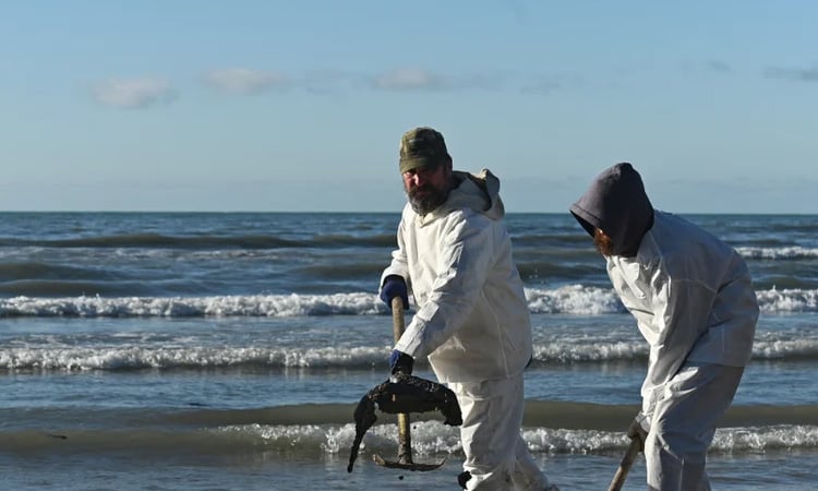 Russian scientists criticise oil spill cleanup