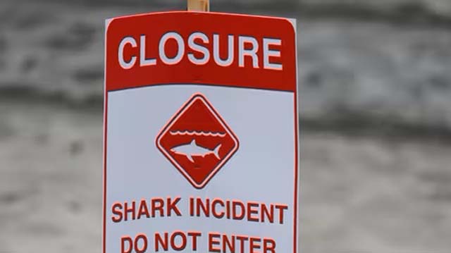 Shark kills man fishing in Australia's Great Barrier Reef