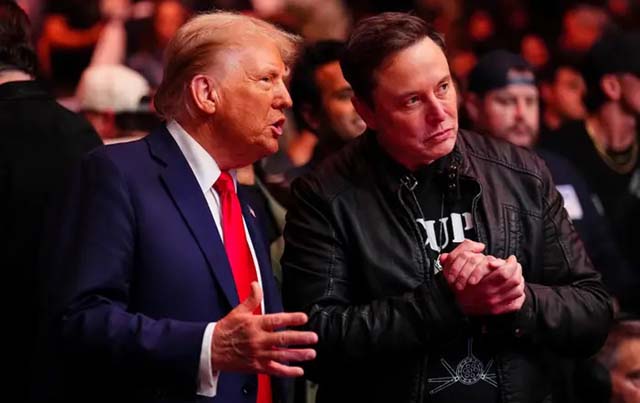 Trump sides with Musk in right-wing row over worker visas