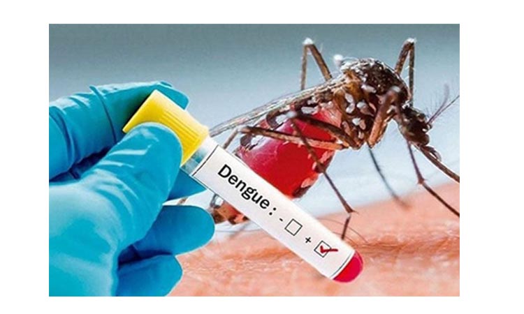 Two dengue patients die in last 24 hrs