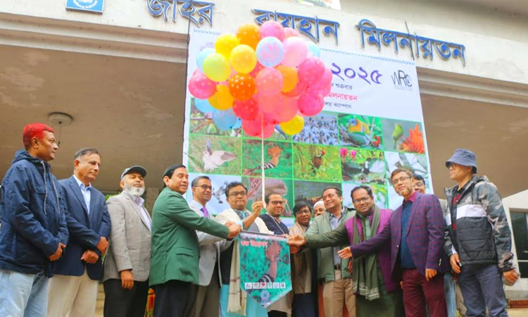 Daylong bird fair held at JU amid festivity