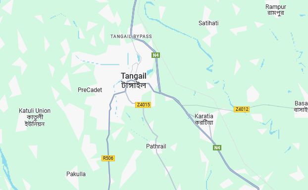 Couple crushed under train in Tangail