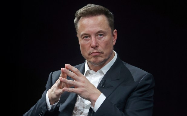 European leaders hit back in Elon Musk meddling row