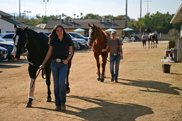 Scramble to shelter animals from Los Angeles wildfires