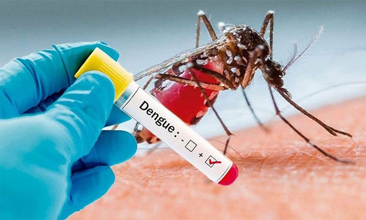 One dengue patient dies in last 24hrs