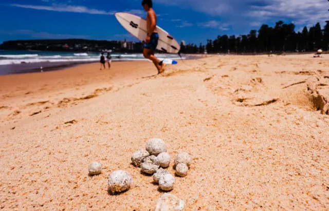 Mystery balls close nine Sydney beaches