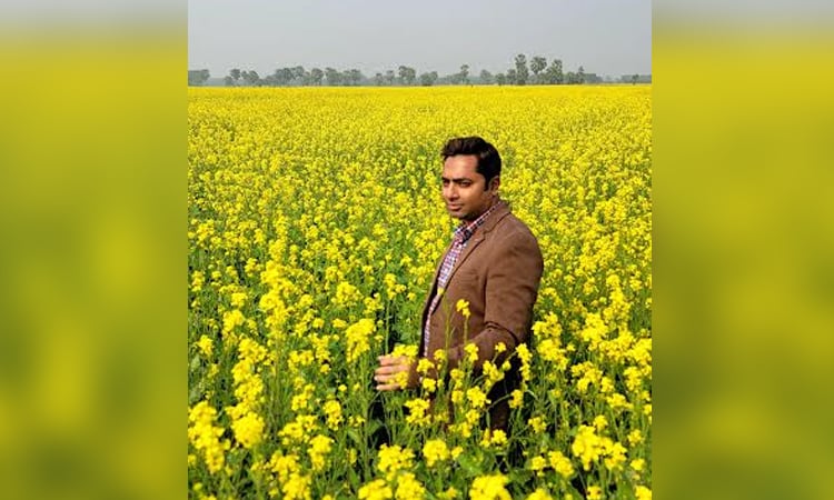 Relay system mustard cultivation gains popularity among farmers