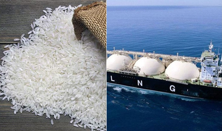 Govt. to purchase rice from India, Pakistan, LNG from UAE