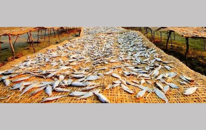 Dry fish gains popularity at home and abroad 