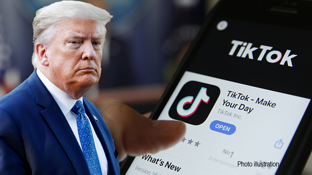 TikTok shuts down US access as Trump seeks app's reinstatement