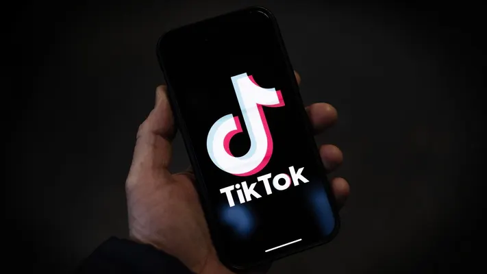 TikTok shuts down US access as Trump seeks app's reinstatement